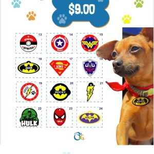 PLACAS PARA IDENTIFICAR TU MASCOTA PERSONALIZADAS