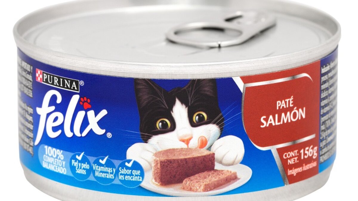 LATA FELIX TROCITOS DE SALMON 156 GRS