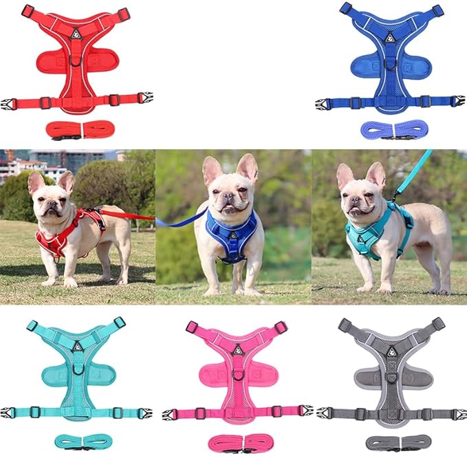 Arnés Reflectante para Mascotas TALLA XL - Imagen 3