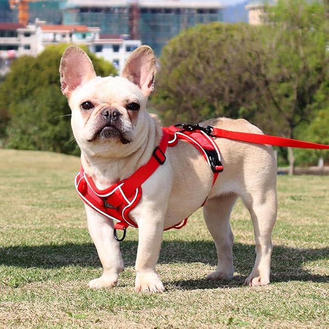 Arnés Reflectante para Mascotas TALLA XL - Imagen 2
