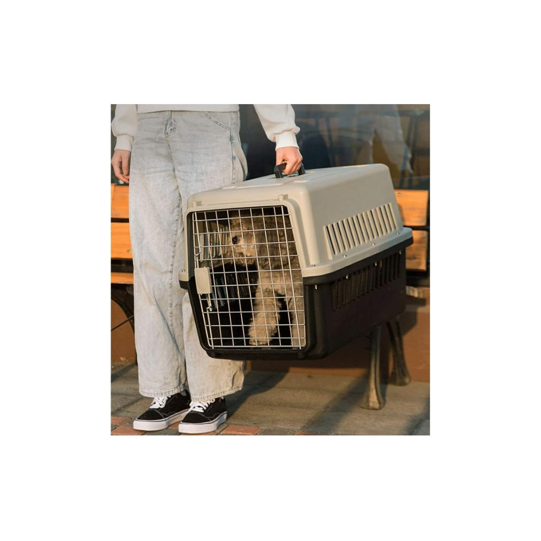 KENNEL MEDIANO PARA MASCOTAS - Imagen 3