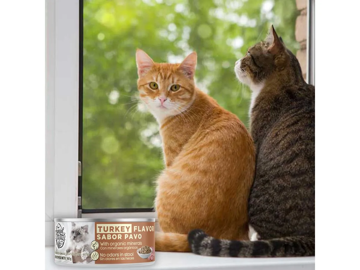 Lata Special Kitty Gato Sabor Pavo 140g
