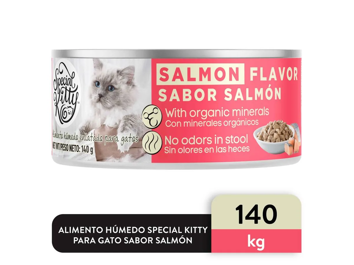 Lata Special Kitty Gato Sabor Salmon 140g