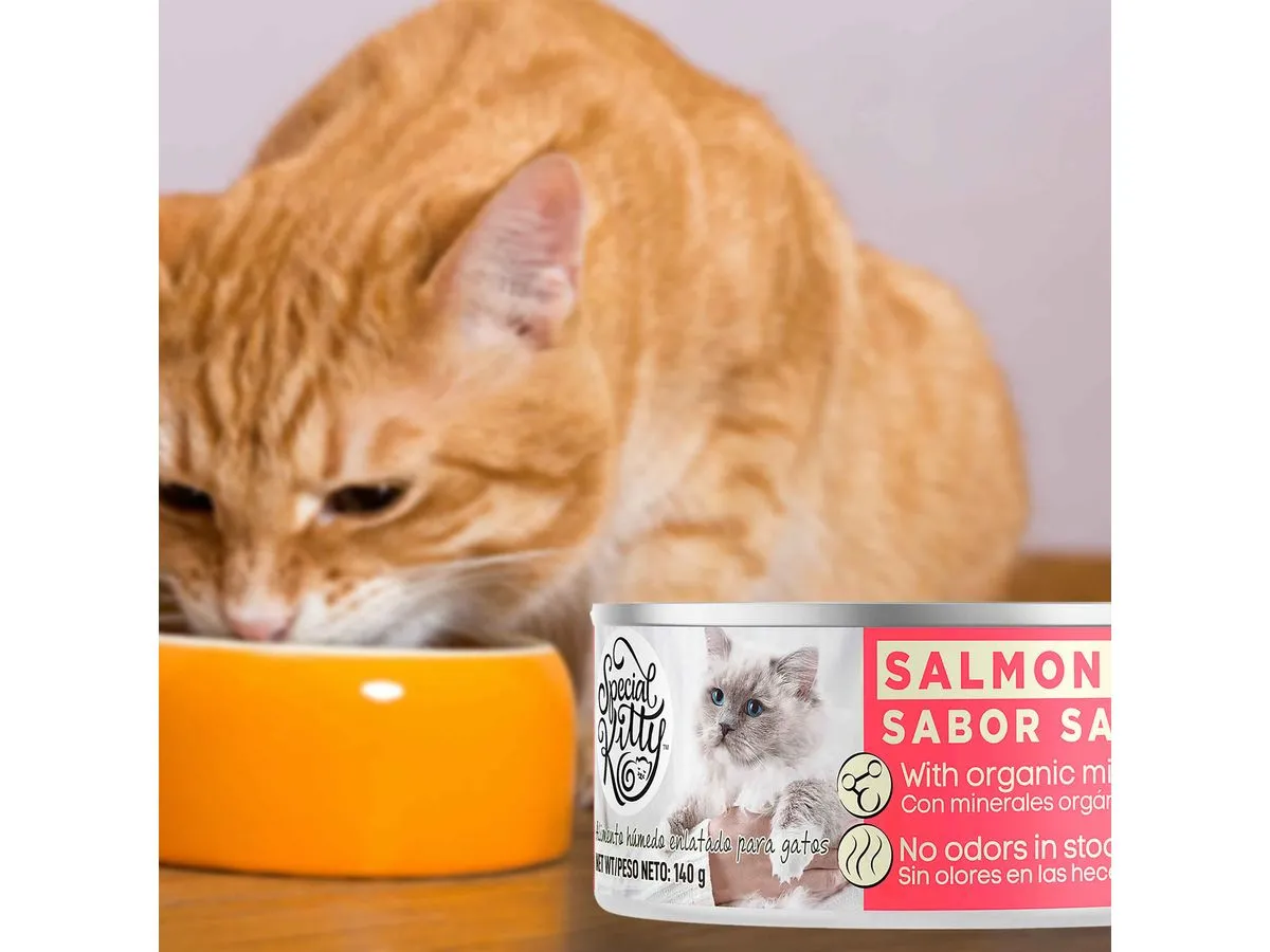Lata Special Kitty Gato Sabor Salmon 140g