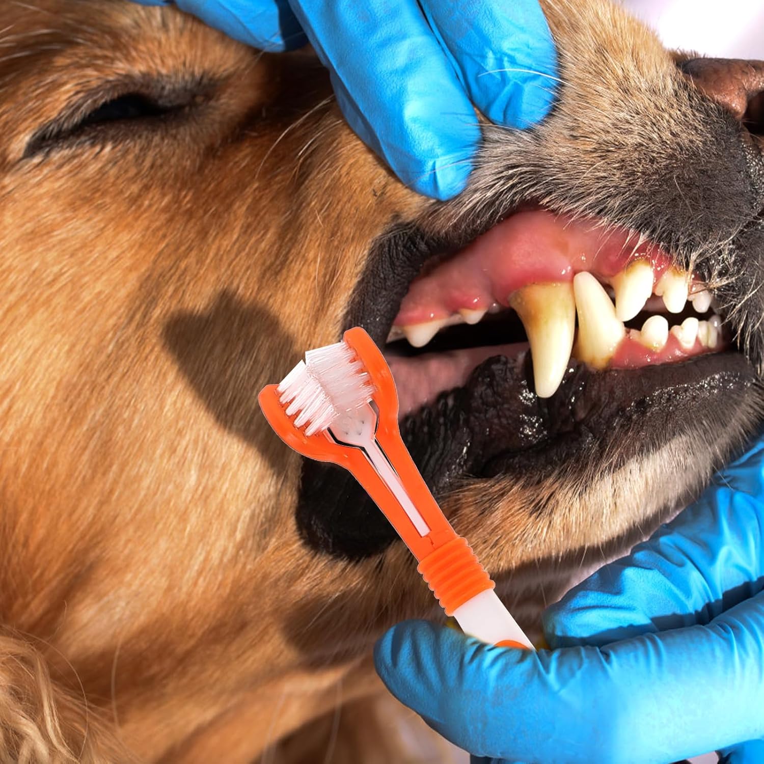 Cepillo Dental para Mascota