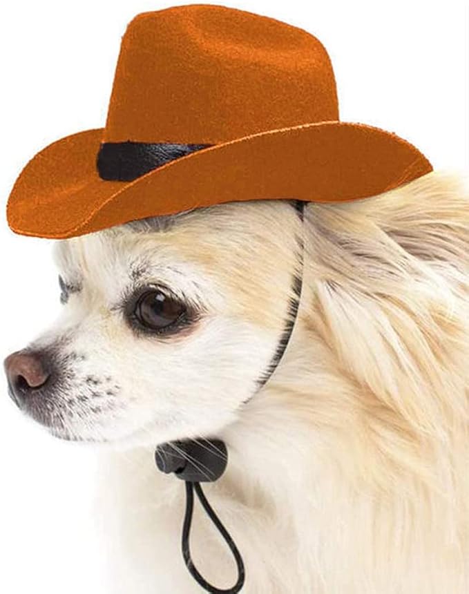 Sombrero de Vaquero para Mascota