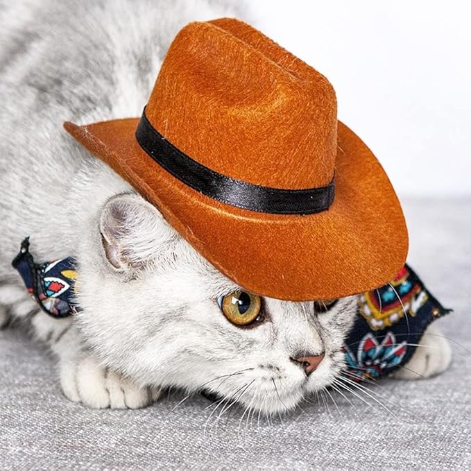 Sombrero de Vaquero para Mascota