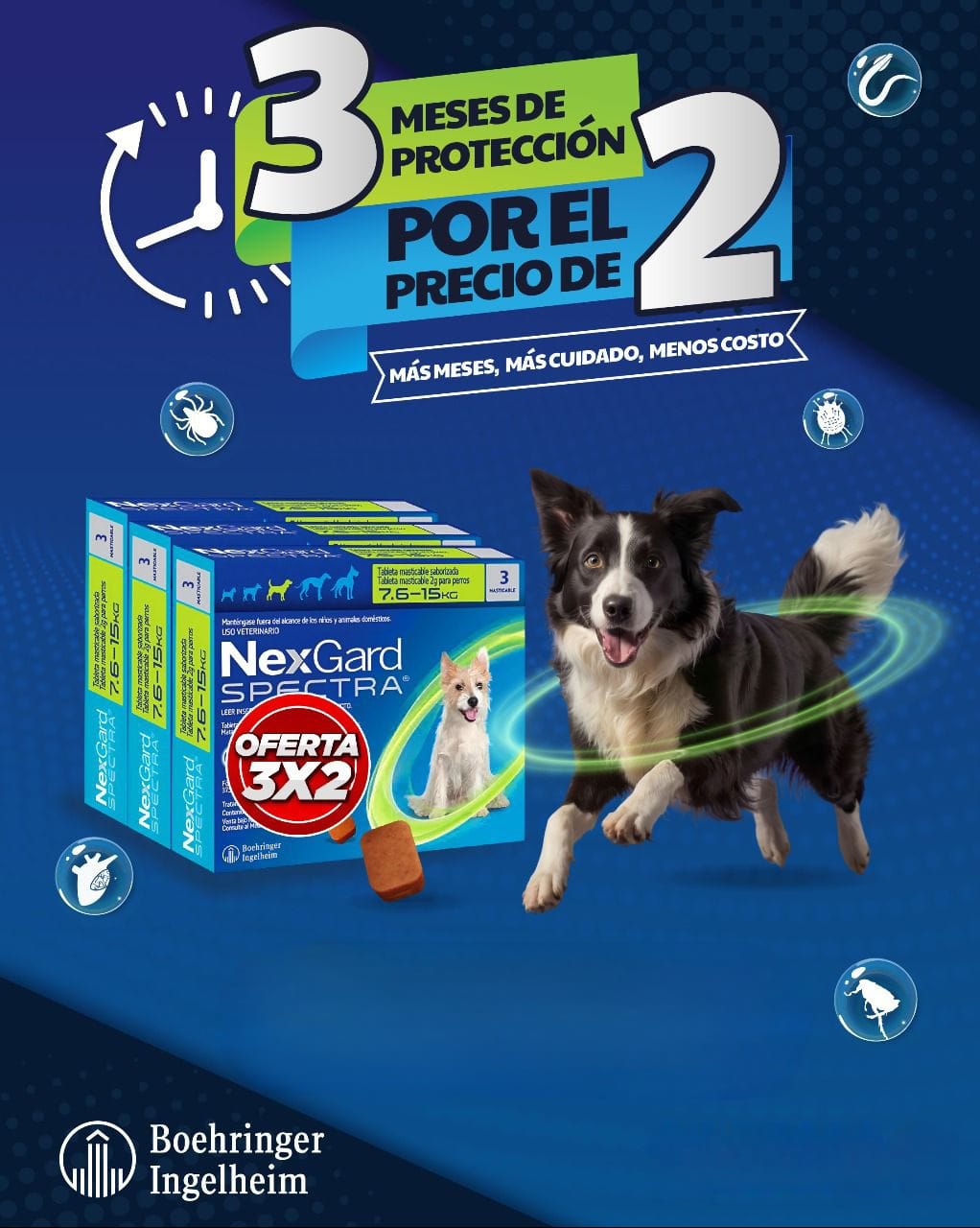 Trio NexGard Spectra 2-3.5kg