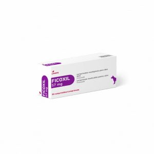 FICOXIL 57 MG Anti-inflamatorios TABLETA