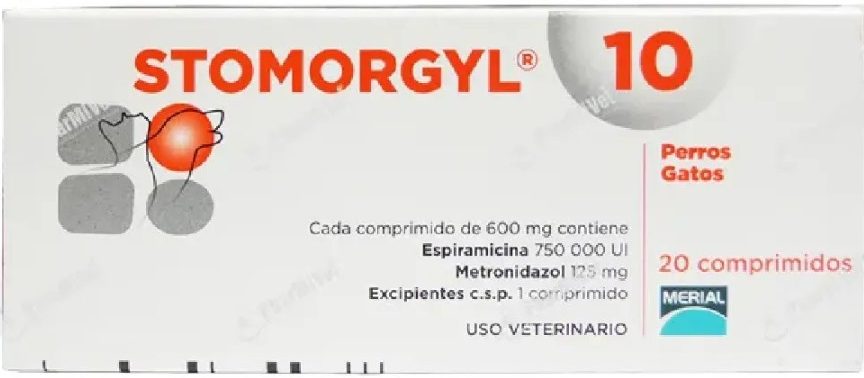 STOMORGYL 10 ANTIBIOTICO ORAL (1 tableta)