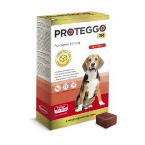PROTEGGO 10-20. KG 1 TABLETA