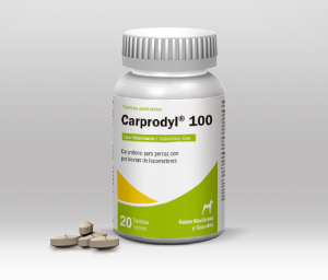 Carprodyl 100 Caprofeno Antiinflamatorio (1 TABLETA)