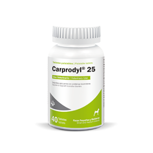 Carprodyl 25 Caprofeno Antiinflamatorio (1 TABLETA)