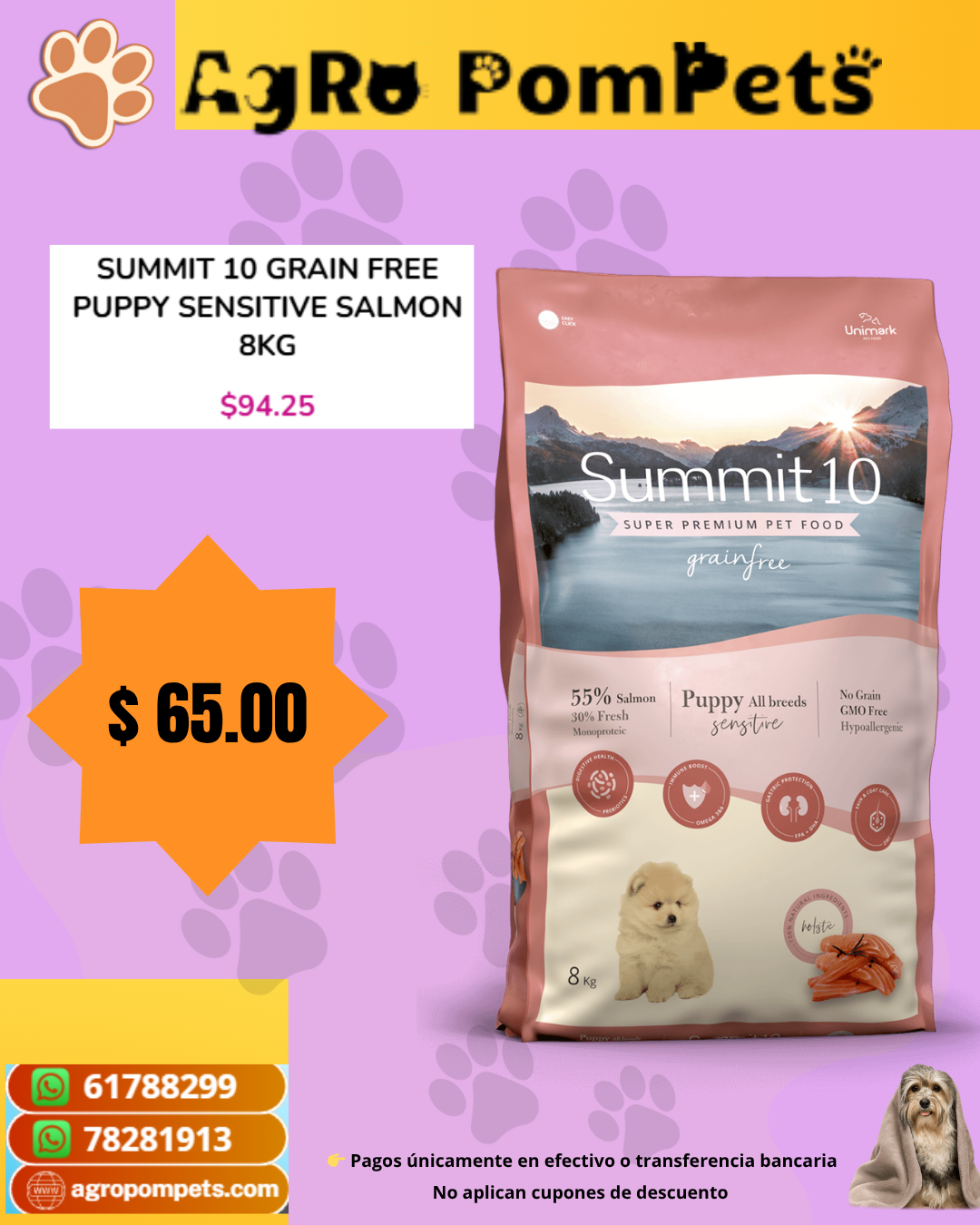Summit 10 Grain Free Puppy Sensitive Salmon 8Kg