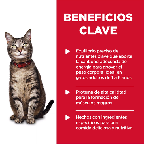 LATA HILLS GATO ADULTO PAVO 5.5OZ